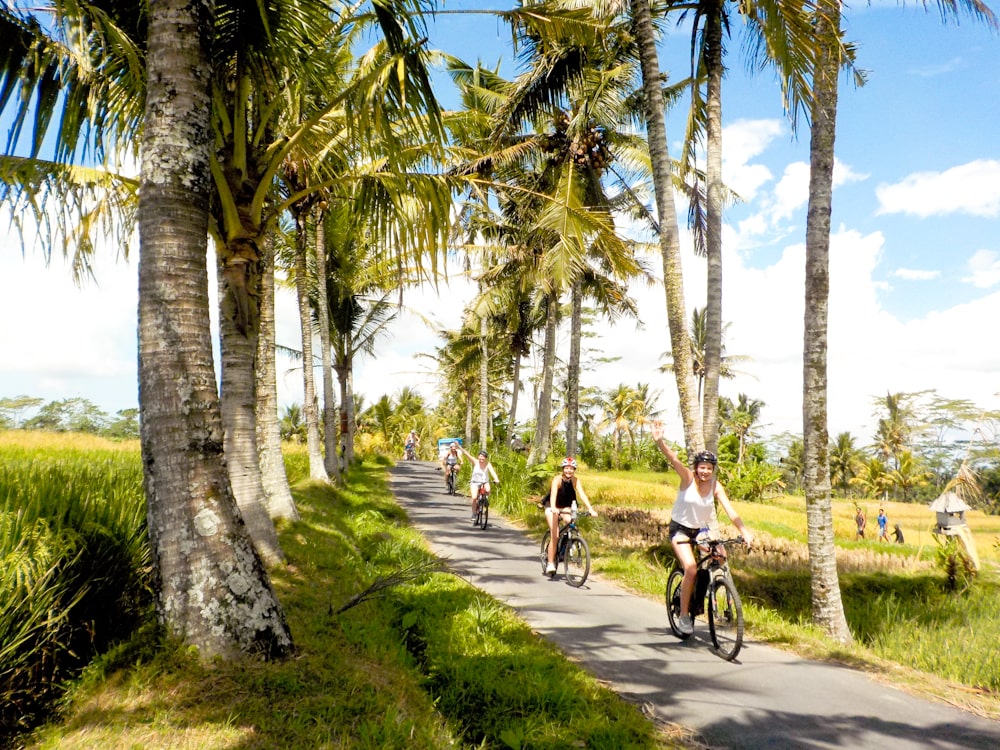 bali great bike tours